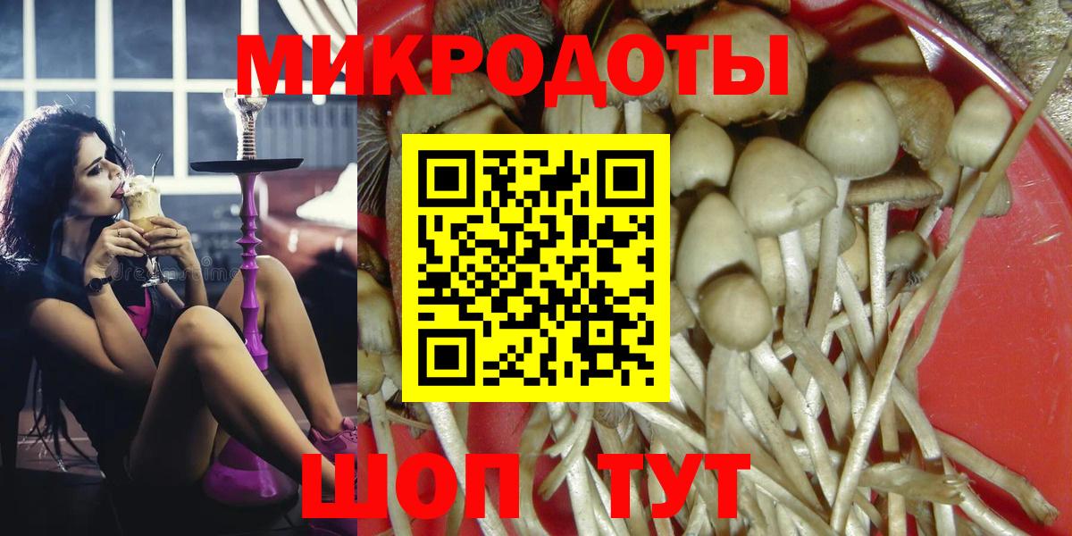 Галлюциногенные грибы Psilocybine cubensis Электрогорск