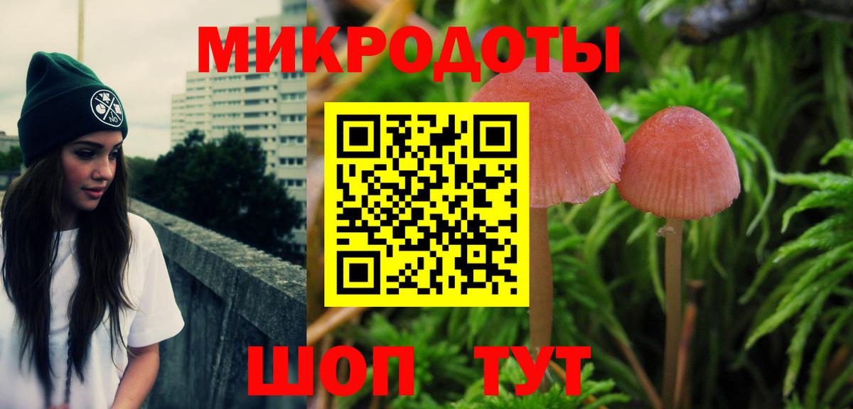 Псилоцибиновые грибы Cubensis  Вход с VPN  Электрогорск 